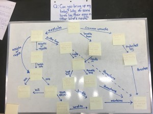 Concept map made in class