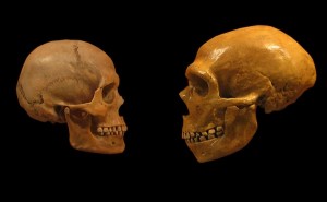 http://www.smithsonianmag.com/ist/?next=/science-nature/science-shows-why-youre-smarter-than-a-neanderthal-1885827/